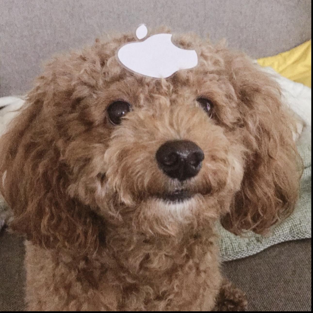 貴 妃